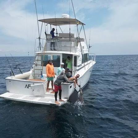 Pesca deportiva