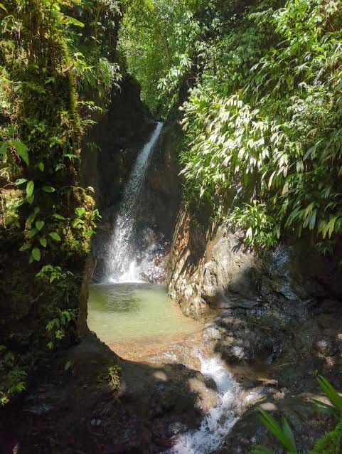 Poza de cascada en la selva