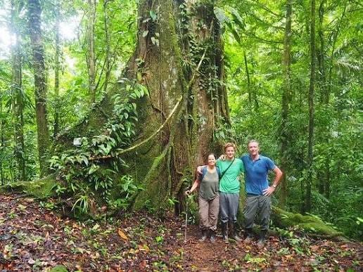 Sendero en la selva