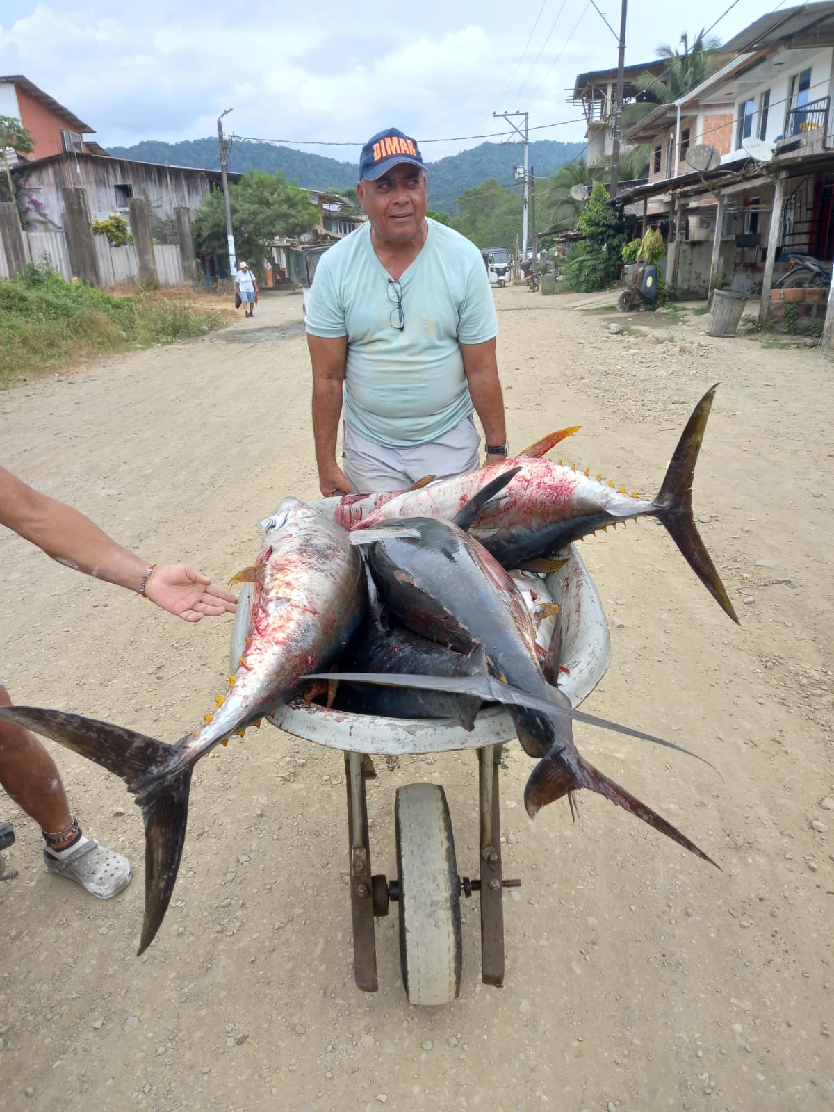 Pesca de peces en Bahía Solano