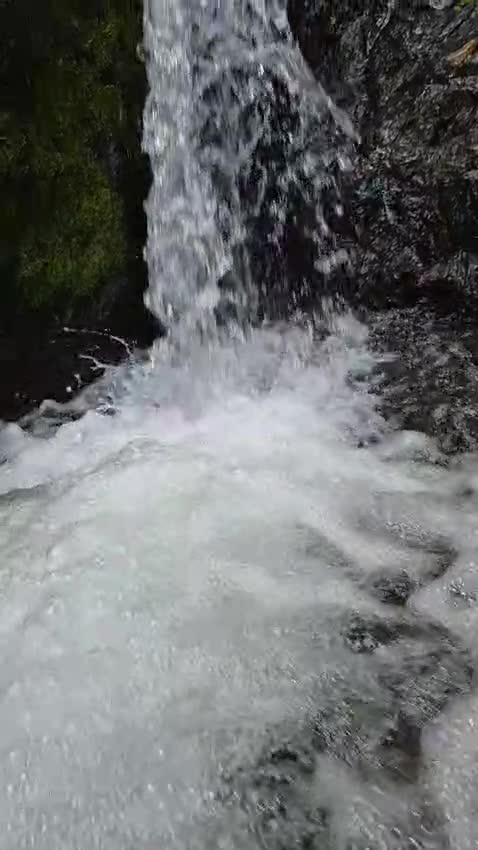 Cascada en la selva