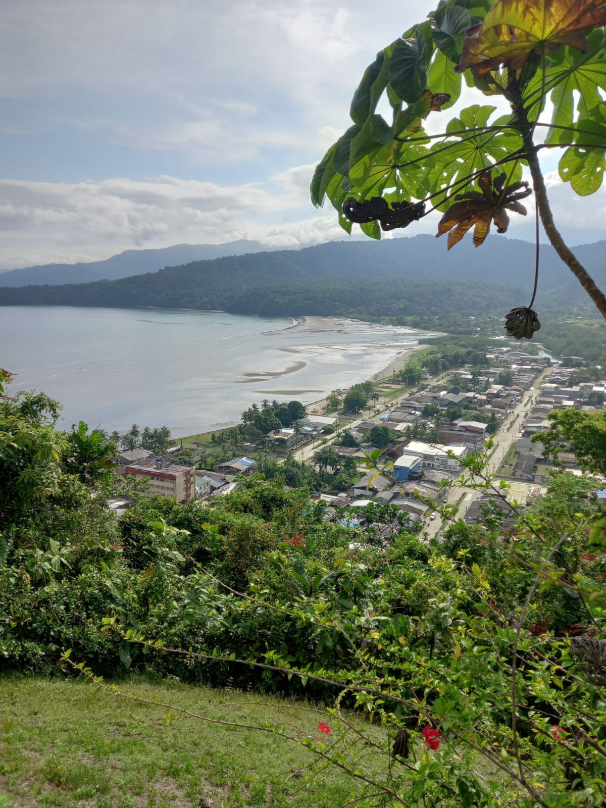 Vista elevada de la bahía